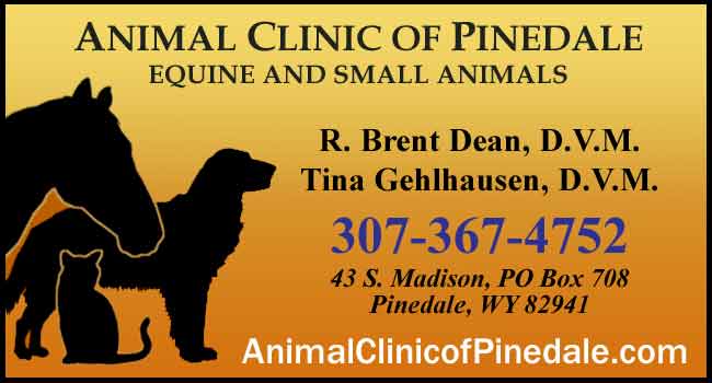 Animal Clinic of Pinedale