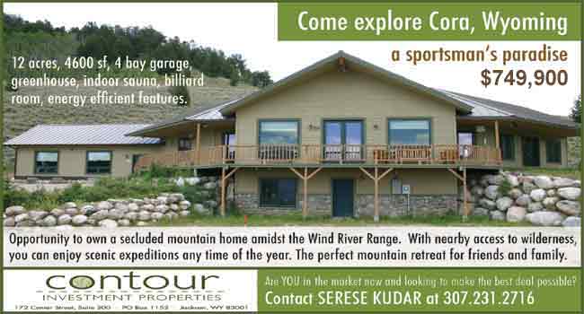 Serese Kudar, Contour Investment Properties