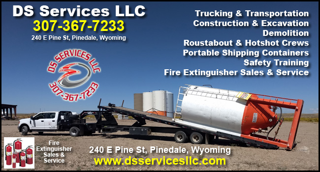 DS Services LLC