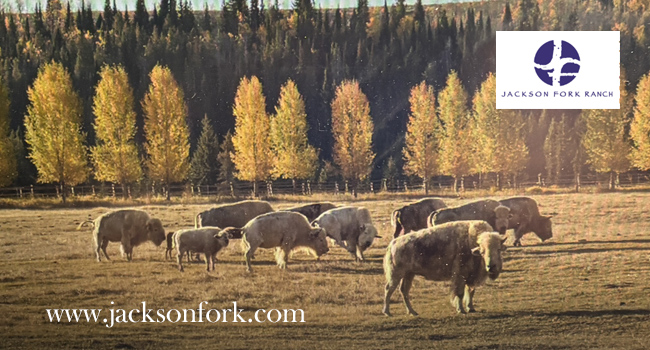 Jackson Fork Ranch