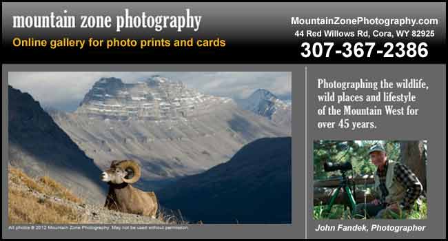 Mountain Zone Photography