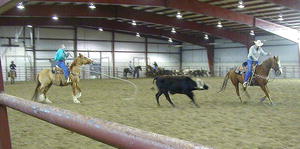 Team Roping at the Ag Center Easter weekend