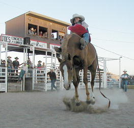 Little Buckaroo Rodeo