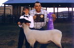 Blue ribbon sheep