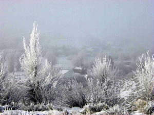 View of misty Pinedale from Orcutt Hill