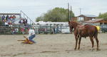 High School Rodeo