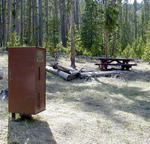 Bear Proof Container