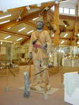 Museum of the Mountain Man