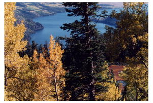 Glimpse Lake trail view.