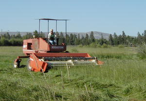 Haying is in full swing. Pinedale Online photo.