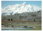 Grand Teton from Buffalo Valley