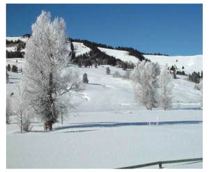 Frosty Bondurant morning. Photo by Dave Bell.