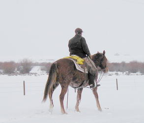 A Cowboy works in the bitter winter cold.  Photo by Laurel Profit.
