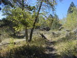 The trail around Half Moon Lake