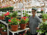 Lucy Neely has a wide variety of beautiful blooming and bedding plants ready to go at Neely's Nursery.