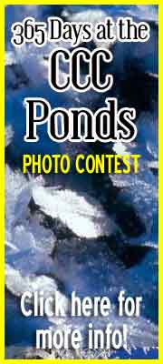 365 Days of the Year at the CCC Ponds photo contest