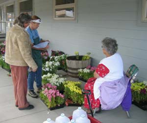 Barrel planting