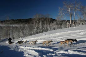 Charlie LaBoda's team makes the steep climb into Moose-Gypsum during the 2006 Green River Rondy