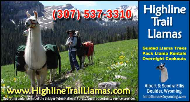 Highline Trail Llamas