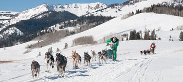 Big Piney/Marbleton Stage of the International Pedigree Stage Stop Sled Dog Race