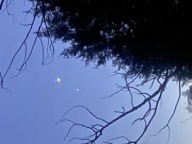 Venus and Jupiter. Photo by Bob Rule. 