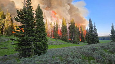 Horse Fire, June 29, 2025. Photo courtesy Bridger-Teton National Forest
