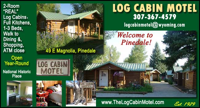 Log Cabin Motel