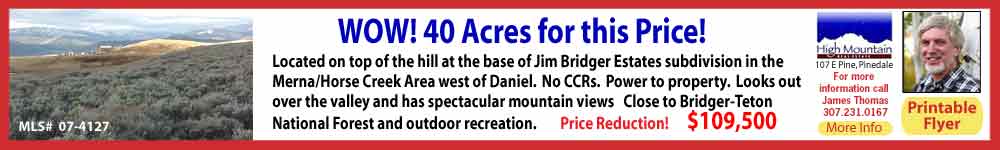 See James Thomas at High Mountain Real Estate in Pinedale for more information about this property.