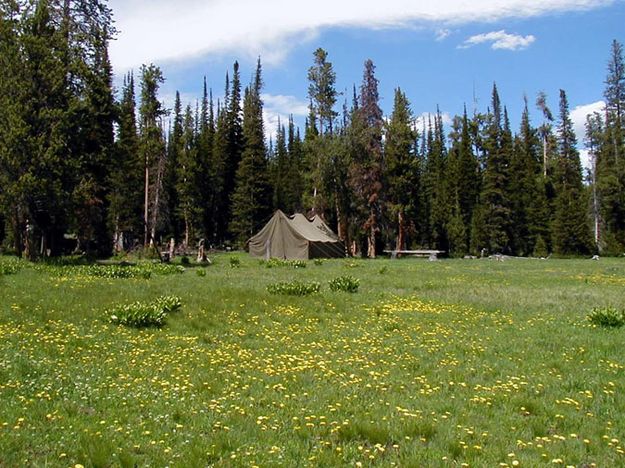 Cow Camp. Photo by Triple Peak.