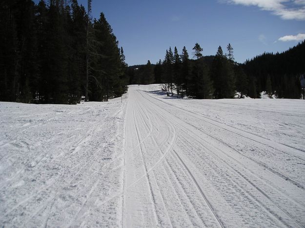 Horse Creek Trail. Photo by Alan Svalberg.