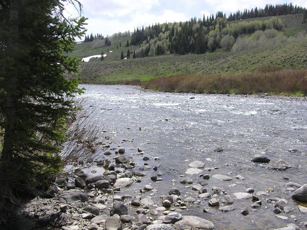 Green River at Whiskey Grove. Photo by Pinedale Online.