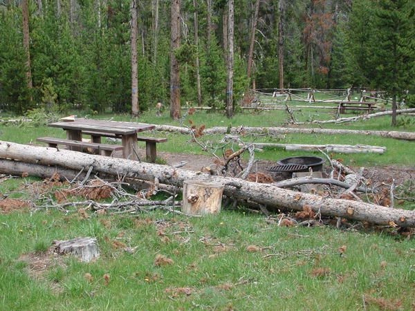 Trees down in campground. Photo by Pinedale Online.