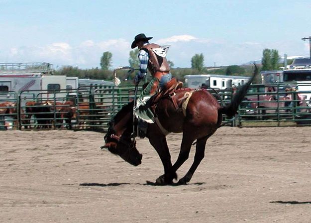 Saddle Bronc Rider. Photo by Pinedale Online.