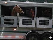 Horses Waiting at Trailhead. Photo by Pinedale Online.