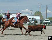 Team Roper. Photo by Pinedale Online.