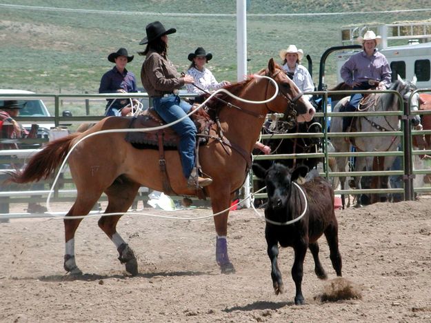 Breakaway Roping. Photo by Pinedale Online.