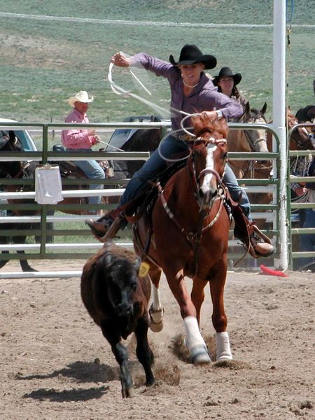 Breakaway Roping. Photo by Pinedale Online.