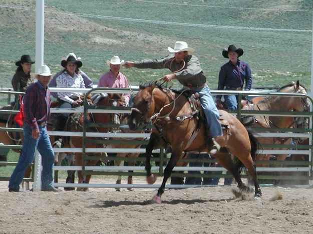 Calf Roper. Photo by Pinedale Online.