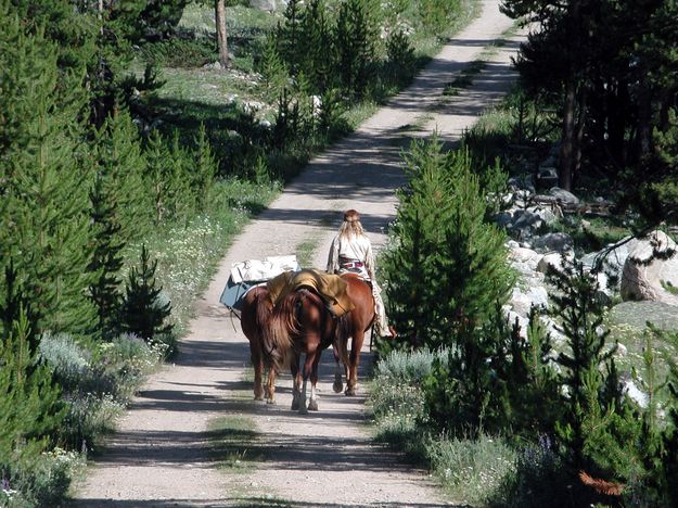 Modern Day Mountain Man. Photo by Pinedale Online.