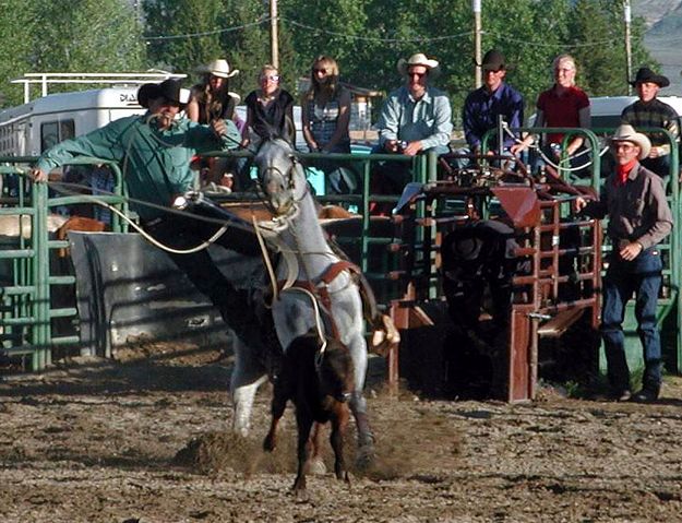 Calf Roper. Photo by Pinedale Online.