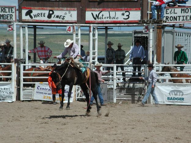 Saddle Bronc Riding. Photo by Pinedale Online.