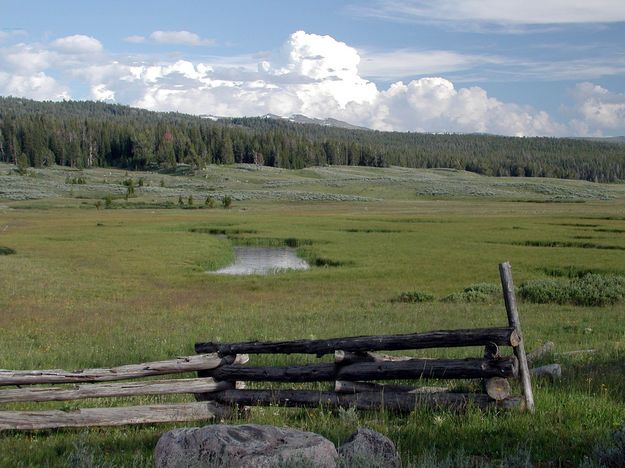 Meadow on Union Pass. Photo by Pinedale Online.