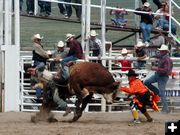 Bull Riding. Photo by Pinedale Online.