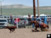 Calf Roper. Photo by Pinedale Online.