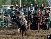 Calf Roper. Photo by Pinedale Online.