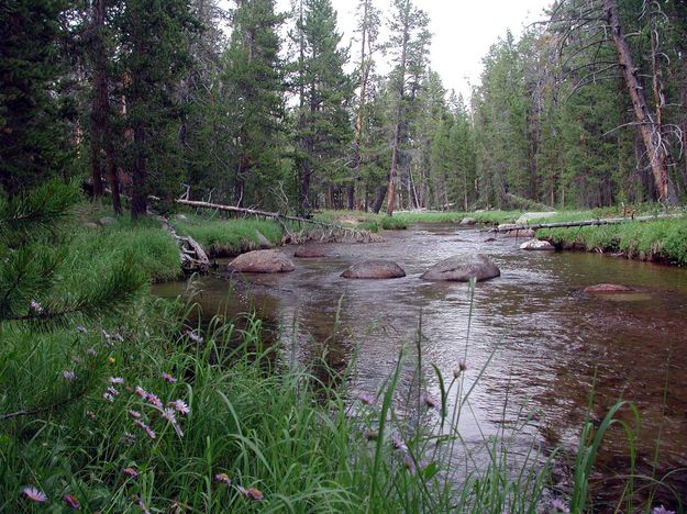 Big Sandy Creek at Trailhead. Photo by Pinedale Online.