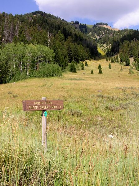 Sheep Creek Trailhead. Photo by Pinedale Online.