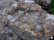 Conglomerate rocks. Photo by Pinedale Online.