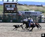 Team Roping. Photo by Pinedale Online.