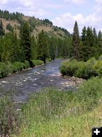 Greys River. Photo by Pinedale Online.